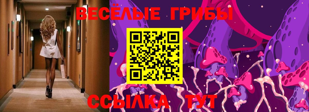 Нерюнгри  Галлюциногенные грибы Magic Shrooms  Вход с VPN 